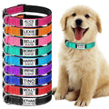 Adjustable Luxury Solid Pattern Nylon Dog Collar Modern Pet Supplies Accessories for Small Medium-Sized Dogs Cats Ribbon