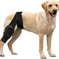 Customized Logo Flexible Dog Knee Stifle Brace Adjustable Support Protector Rehabilitation Belt Professional Protection