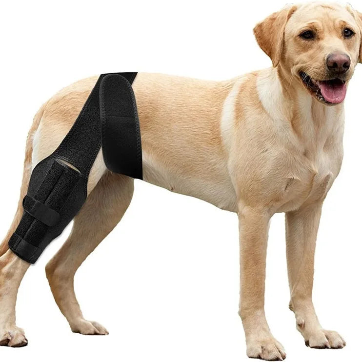 Customized Logo Flexible Dog Knee Stifle Brace Adjustable Support Protector Rehabilitation Belt Professional Protection
