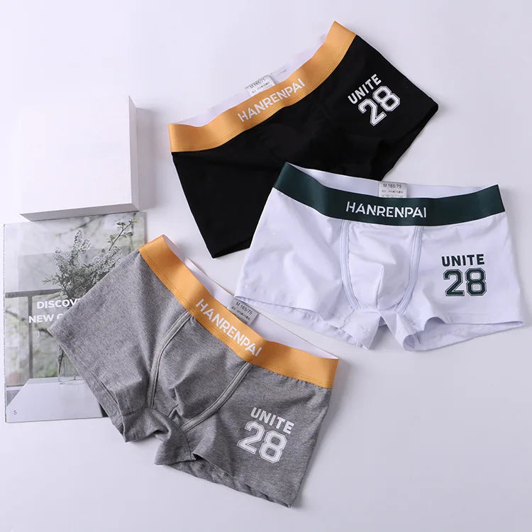 High Quality Custom Size Cotton Simple Adults Figure Men Underwear Soft Breathable Big Pouch Comfortable Briefs Boxers Briefs
