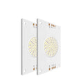 Manufacturer Custom RGBW  Four-color  High Power 60W 100W 200W COB LED