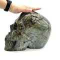 Wholesale New Products Natural 20kg Crystal Healing Carved Large Dragon Blood Stone Skulls for Gifts