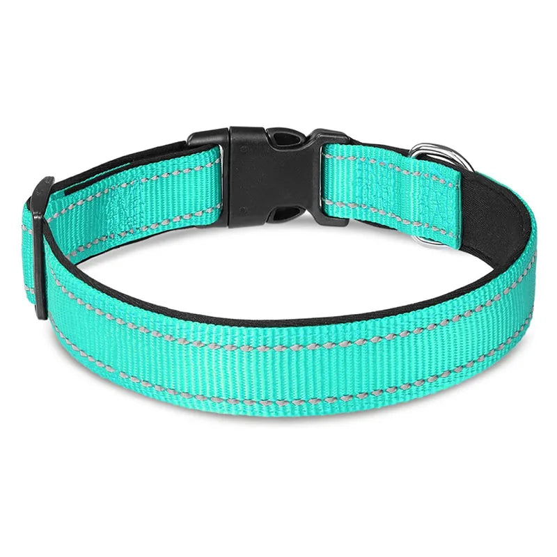 Direct Selling Nylon Pet Collar Soft Neoprene Padding and Breathable Adjustable Heavy Duty Premium Dog Collar
