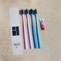Hotel Disposable Plastic Dental Amenities Toothbrush Toothpaste Guest Kit-Eco-Friendly Travel Size Bulk Supply for Hospitality