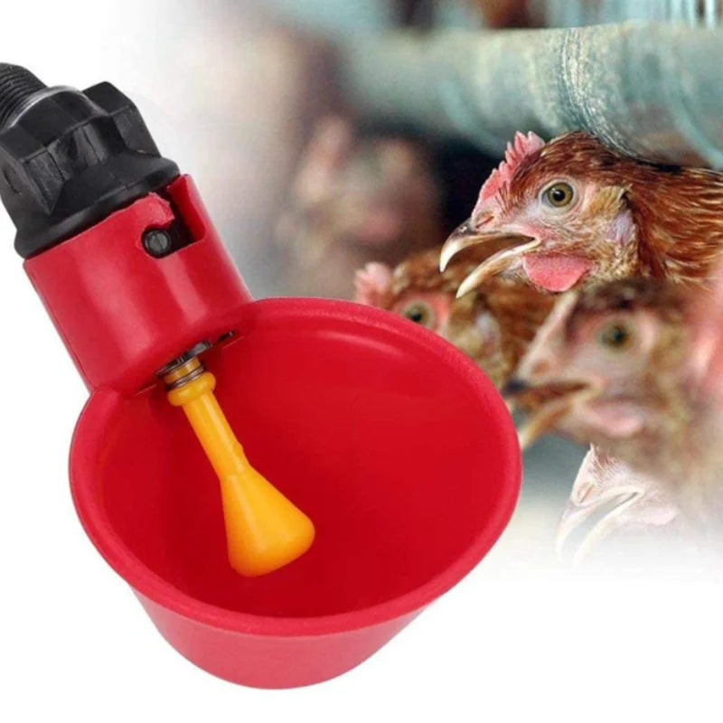 Automatic Poultry Drinkers Cup Quail Water Dispenser Chicken Water Drinker