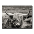 Scottish Highland Cattle Painting Black and White Animal Poster Print Picture Nordic Canvas Wall Frame Art Decoration