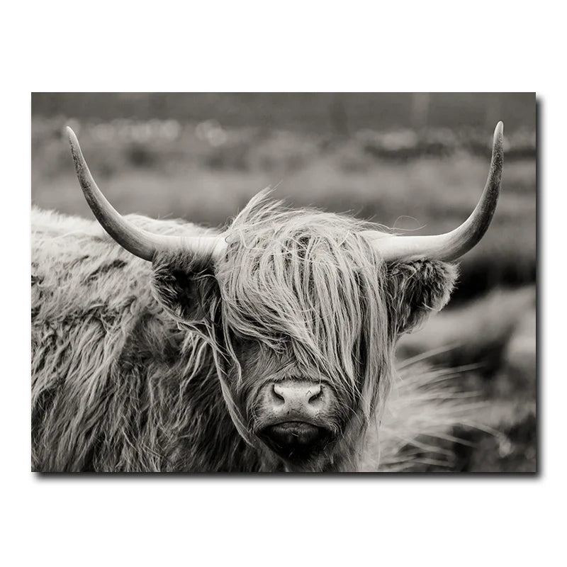 Scottish Highland Cattle Painting Black and White Animal Poster Print Picture Nordic Canvas Wall Frame Art Decoration