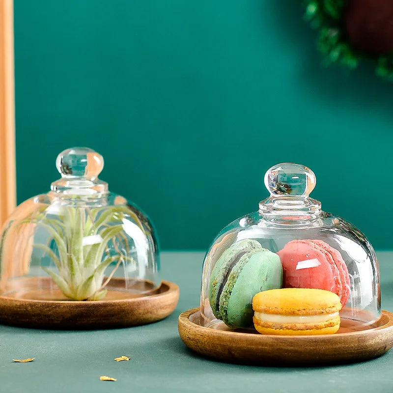 Custom Mini Round Dessert Plate Solid Wood Dessert Display Tray with Glass Dome Lid Japanese Style
