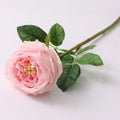 AF10911 Wholesale Artificial David Austin Rose Latex Real Touch Garden Silk Roses Decoration for Wedding Home Decor