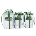 Wholesale Transparent PVC Packaging Box for Gift Packing Customizable Wedding Candy DIY Plant Ornamental Matt Lamination