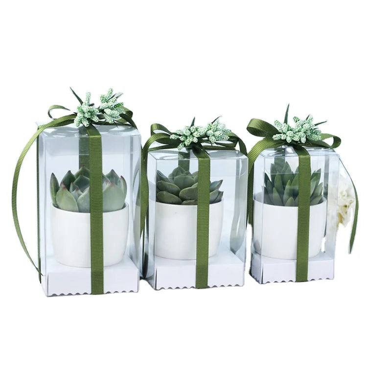 Wholesale Transparent PVC Packaging Box for Gift Packing Customizable Wedding Candy DIY Plant Ornamental Matt Lamination