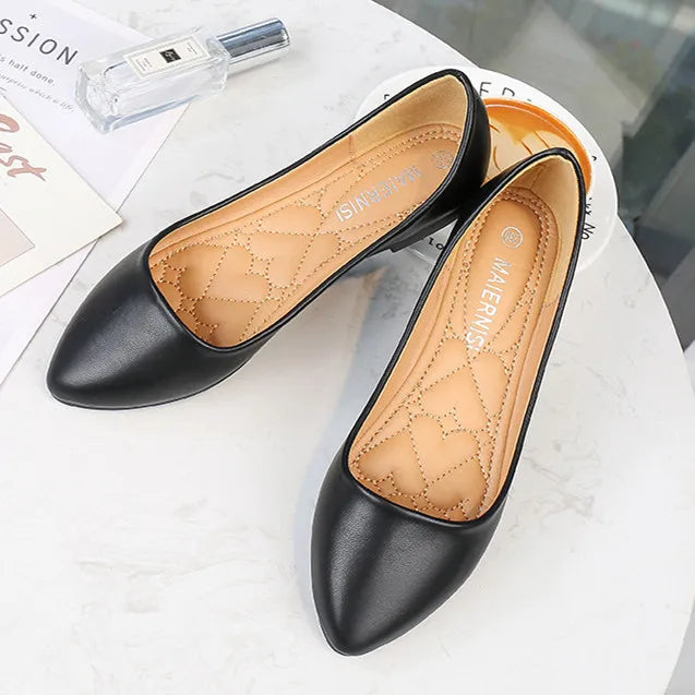 Big Size Flat Pump Pointed Toe Shoes Comfortable Slip-On Flat Women Casual Ladies Flat