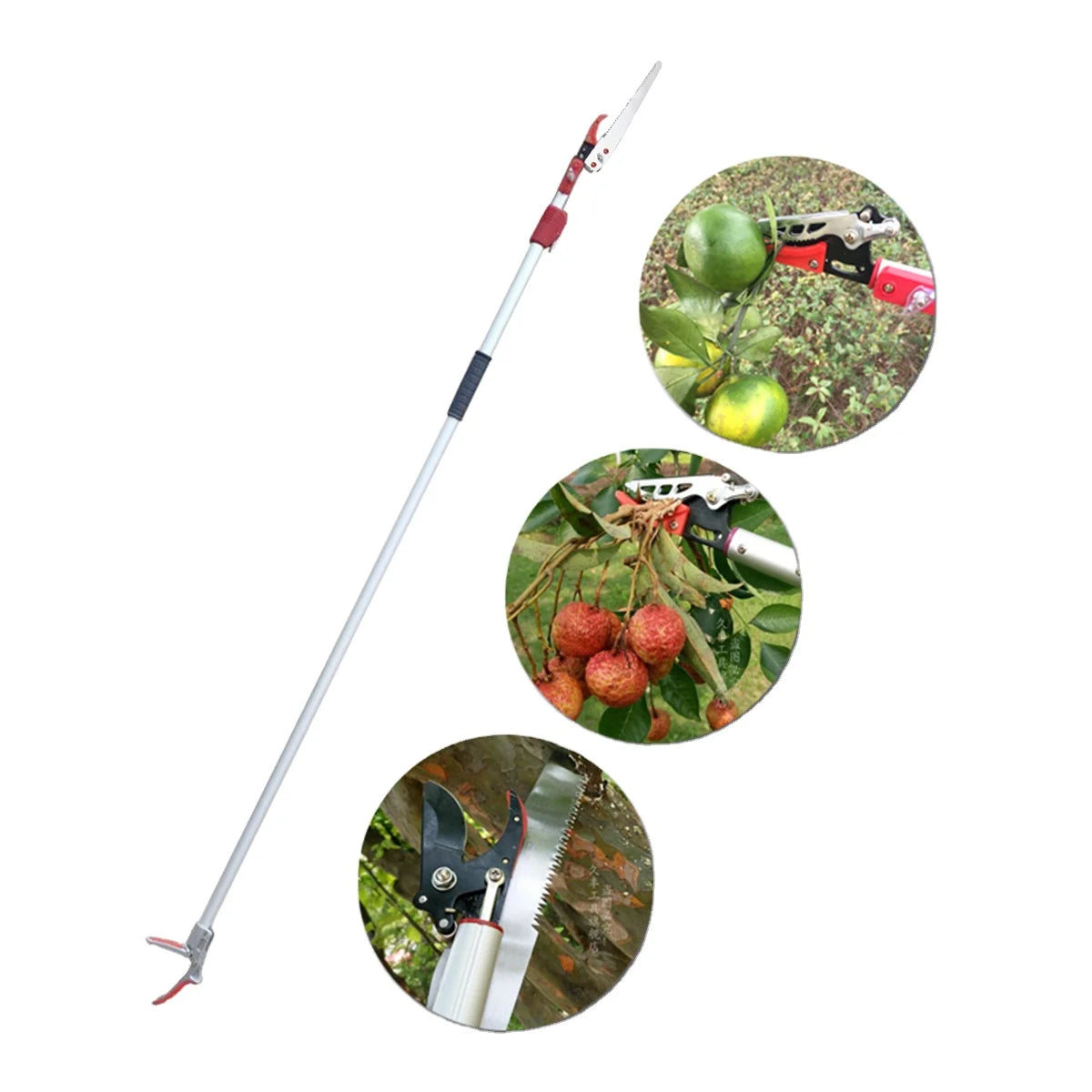 Hot Sale Winslow & Ross Aluminum High Branch Pole Telescopic Pruning Shears Long Handled Secateurs for DIY with Factory Prices