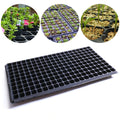 Attractive Design Eco-Friendly Black PVC Nursery Pots Seedling Trays for Four Seasons Planting