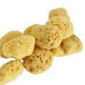 Natural Soft Honeycomb Bath Sponges Deep Exfoliating Shower Sea Sponge for Adults and Kids Body