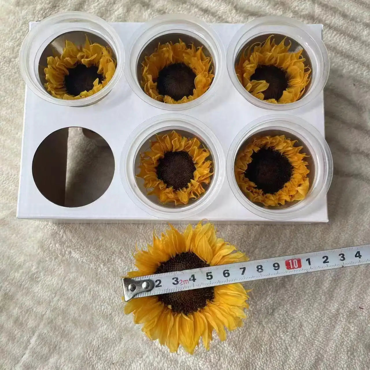 Handmade Preserved Flowers Eternal Sunflower Decoration for Wedding Christmas & Thanksgiving-Long Lasting 3-5 Years
