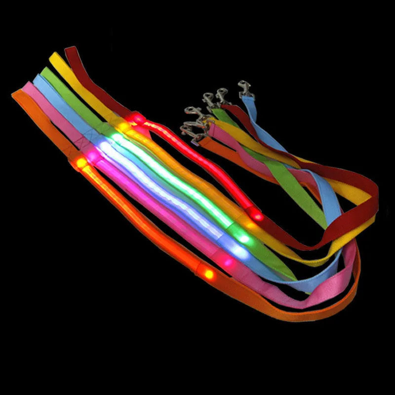 USB Rechargeable Luxury Classic LED Light up Dog Leash with Illuminating Night Glowing for Walking