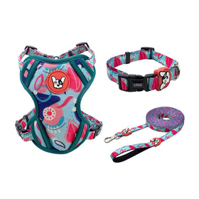 Custom Comfortable Outdoor Walking Harness Para Mascota Mesh Dog Harness and Leash Set for Puppy