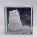 Pet Cat and Dog Memorial Photo Frame for Souvenir Gift Animal Photo Frame
