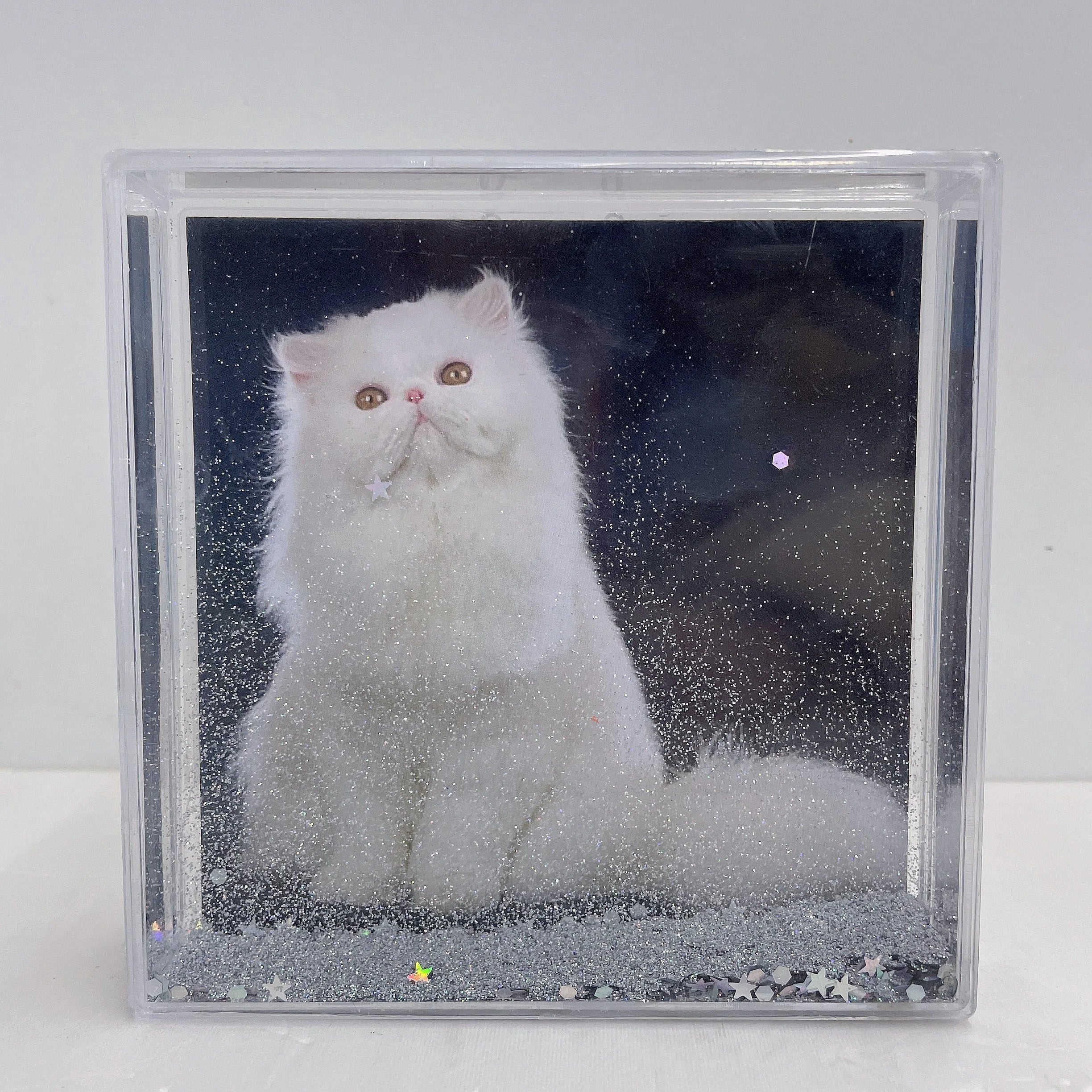Pet Cat and Dog Memorial Photo Frame for Souvenir Gift Animal Photo Frame