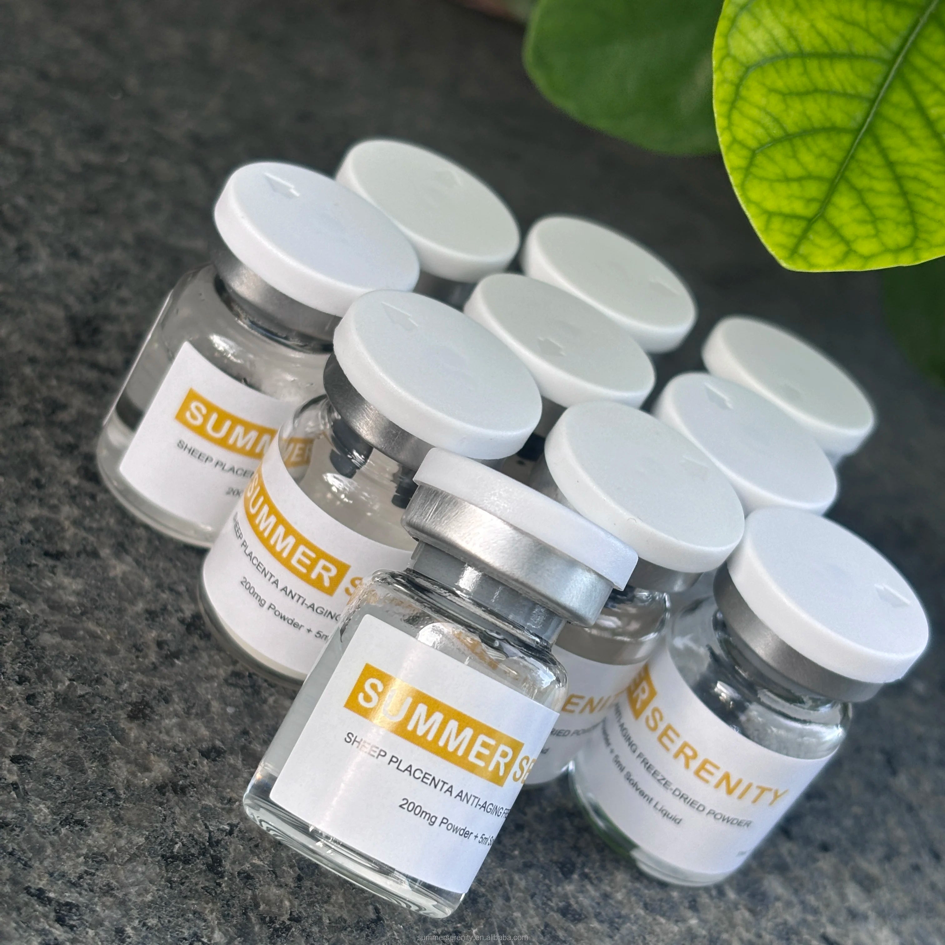 Private Label Face Serum Skin Repair Soothe Fade Fine Lines Face Lift Sheep Placenta Lyophilized Powder Serum Set