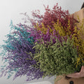 L06087 Wedding Home Party Decoration Babysbreath Dry Preserved LOVERGRASS Limonium Belt Laard