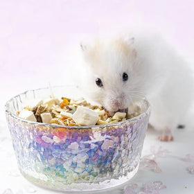 Original Design Eco-Friendly Glass Hamster Feeder: Large Capacity Non-Slip and Heat-Reducing
