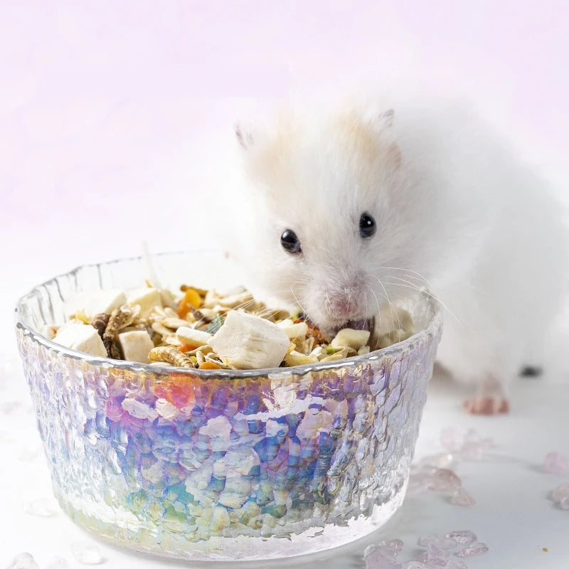 Original Design Eco-Friendly Glass Hamster Feeder: Large Capacity Non-Slip and Heat-Reducing MegaBDM