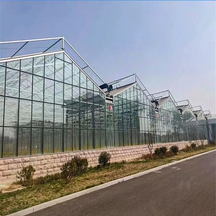 Solar Photovoltaic Smart Greenhouse - Venlo Multi-Span Glass Structure for Commercial Agricultural Sale