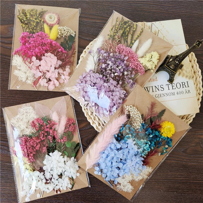 M61 DIY Dry Flower Material Preserved Real Dried Flower Scent Press Flower for Scented Candle Making Resin Soap Nail Art Jewelry