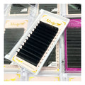 Wholesale Mega Eye Lash Extension Tray J B C CC D DD L Curl Matte Black Eyelash Extensions With Custom Logo