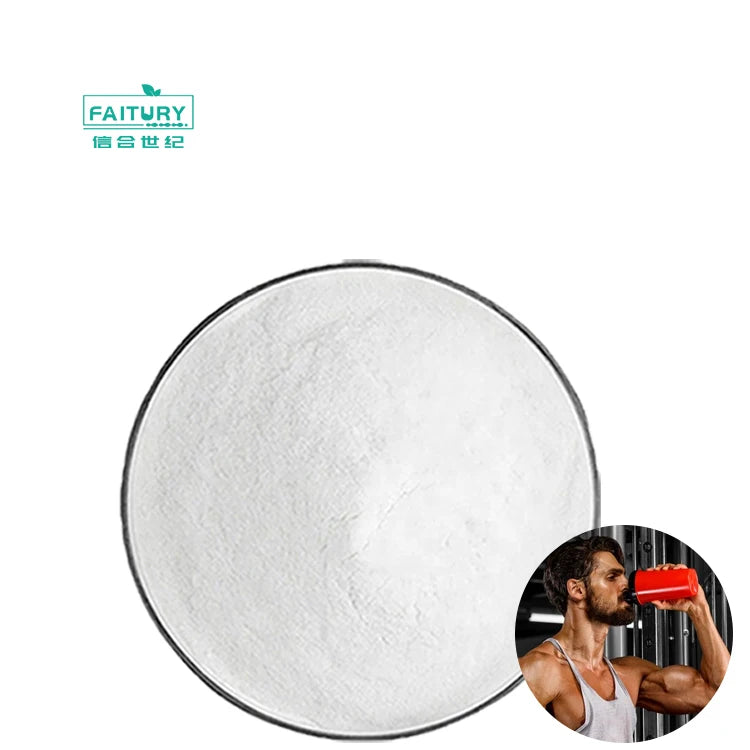 Factory Supply Creatine Gummies Raw Material Creatine Monohydrat Micronized Creatine Monohydrate 500g for Pre Workout