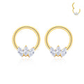 G23 Titanium Gold Plated Zircon Nose Hoop Hinged Seamless Segment Ear Clicker Ring Piercing Jewelry