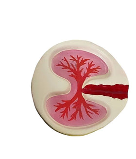 Customized Personalized and Creative Resin Ashtray Decorations pink Lung Model Desktop Gift Ornaments