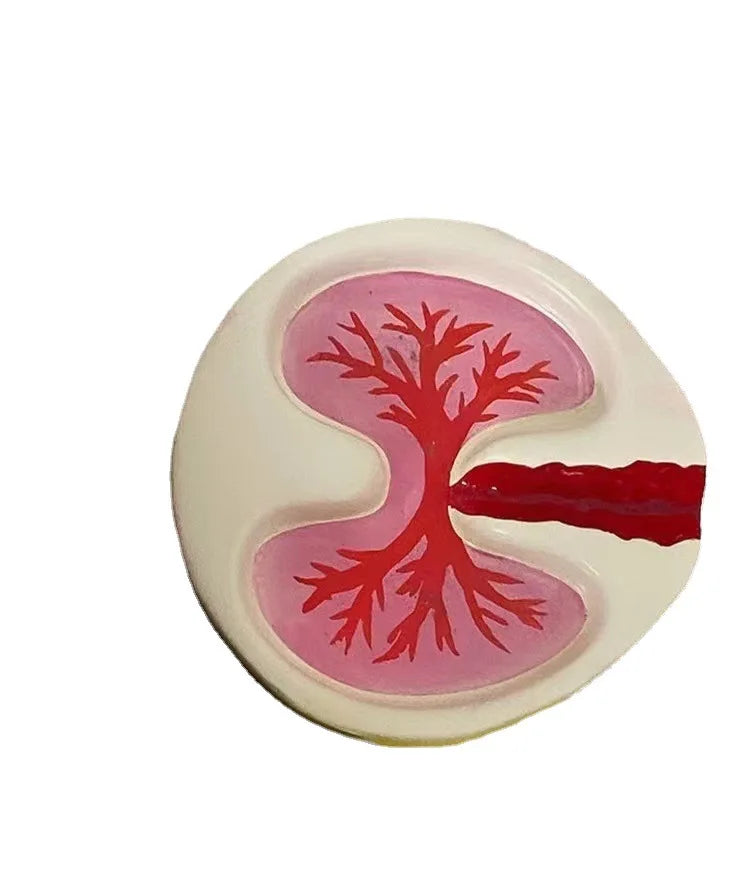 Customized Personalized and Creative Resin Ashtray Decorations pink Lung Model Desktop Gift Ornaments