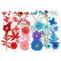 E-2952 DIY Photo Shoot Petal Makeup Stickers Bookmarks Resins Nail Materials Pressed Dry Flower MegaBDM