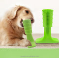 Eco-Friendly Rubber Cactus Dog Chew Brush Toy TPR & PP Material Bite Toys for Playing Packaged in Bag