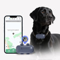 2026 Hot GPS Pet Tracker with Real-Time Tracking Health Monitor Light & Voice Search 4G Network BEIDOU GLONASS LBS Positioning