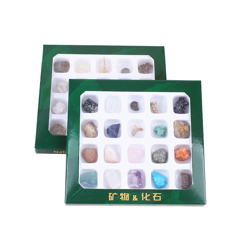 Healing Crystals Set for Beginners Collection Meditation Specimen Set Natural 20pcs Love Gemstone Folk Art 5 Boxes JSY Jewelry