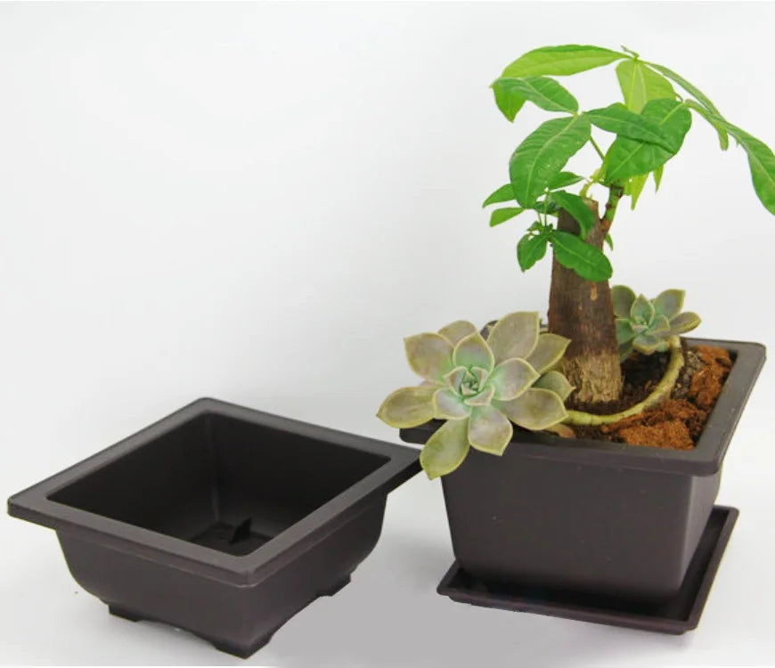 12.1*12.1*5.8cm Shallow square Bonsai Flower Pots Succulent Planter Flower Pot Plastic Purple Clay Pot
