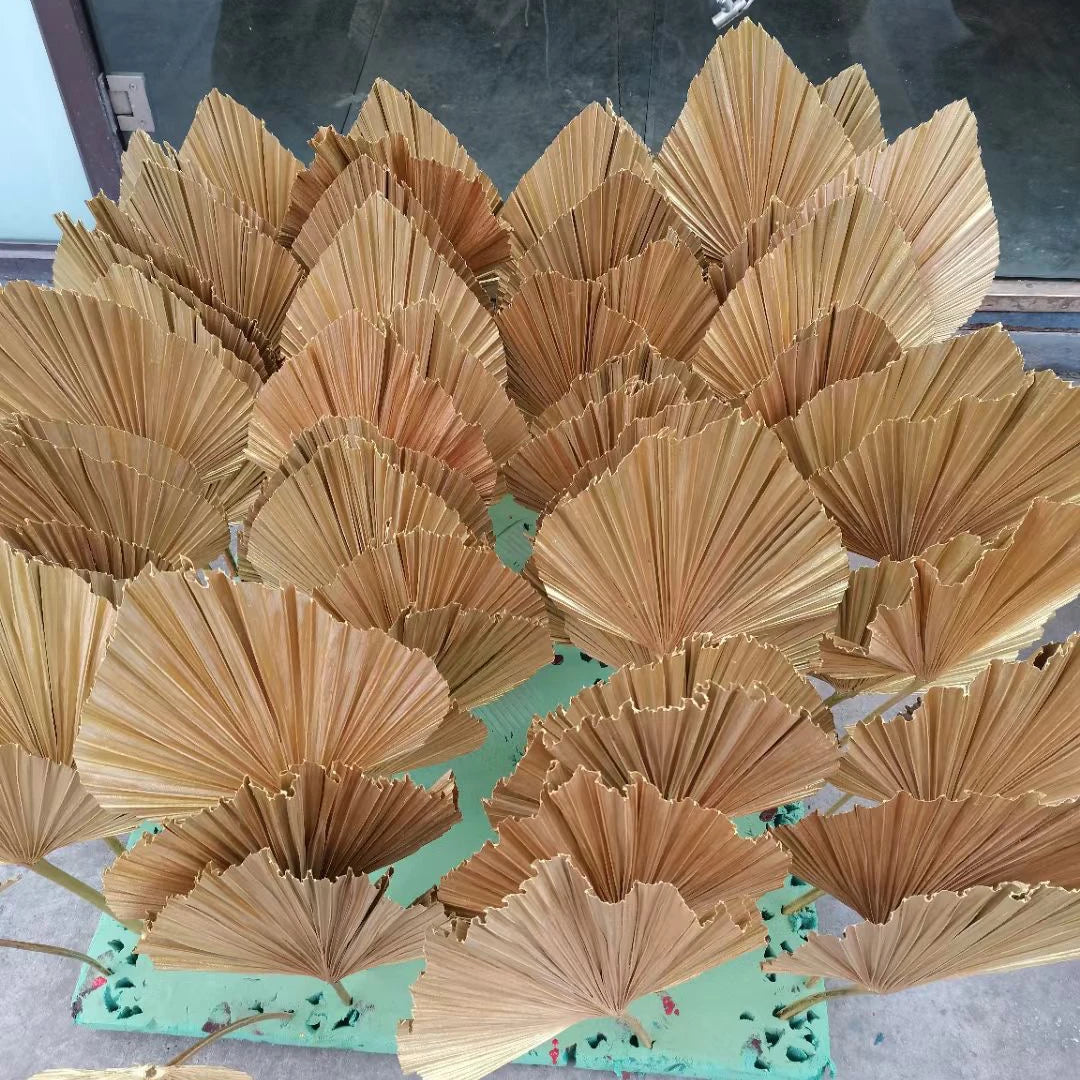 SZ04328 Whosale Driedpalmleaves  Natural Processed Palm Tree Leaves Preserved Dried Palm Leaf Dry Palm Leaf Decoration