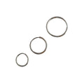 Rainbowing InsCHIC Simple Temperament Circle S925 Sterling Silver Earrings for Women Gold Plated for Parties and Gifts