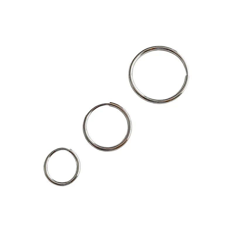 Rainbowing InsCHIC Simple Temperament Circle S925 Sterling Silver Earrings for Women Gold Plated for Parties and Gifts