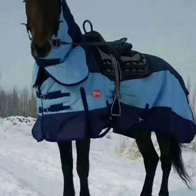 Thickened Insulation Pure Cotton Winter Clothes Horse Rug