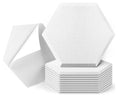12 Pack Soundproof Polyester Acoustic Panels Hexagon Design 9mm Thick for Music Studio 3D Model Design Ships 3 Days US Warehouse