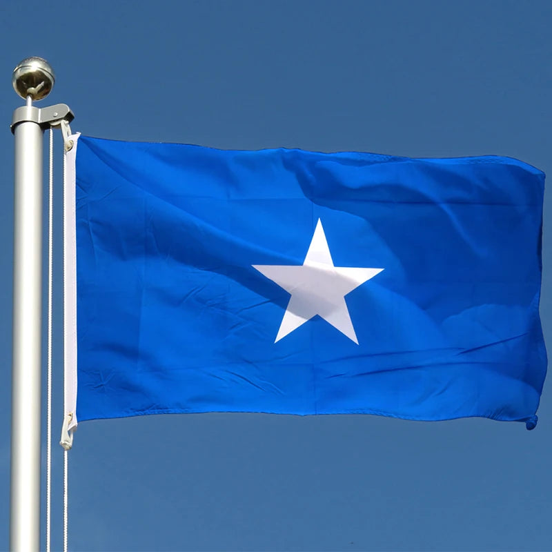 Wholesale  Fast Shipping Customized Logo 100% Polyester Flags 3x5ft the Federal Republic of Somalia All Country Flag