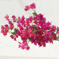 YOPIN-011 Outdoor Decoration Artificial Flowers Silk Bougainvillea Artificial Flower Tree