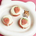 Popular Strawberry-shaped Highly Nutritious Hamster Food with Customizable Packaging