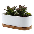 Small White Succulent Planter Pots Bamboo Tray Oval Cactus Plant Holder for Home Table Desk Decoration Mom's Garden Favorite