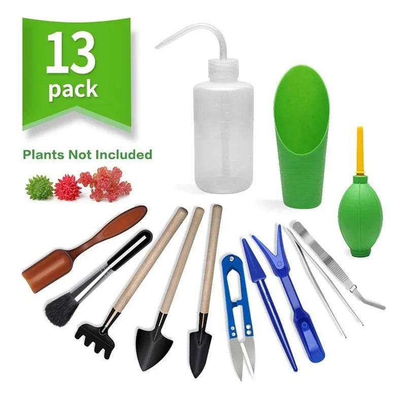 Succulent Plant Growing Kit Set Miniature Planting Transplanting Tools Floral Mini Gardening Kit for Terrarium Bonsai Planter